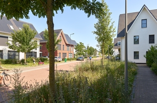 Carolus, 's-Hertogenbosch