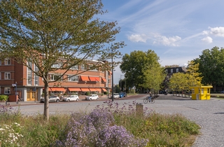 Wilhelminaplein, 's-Hertogenbosch