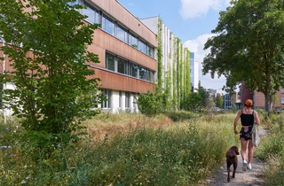 Waterschapsgebouw, Roermond