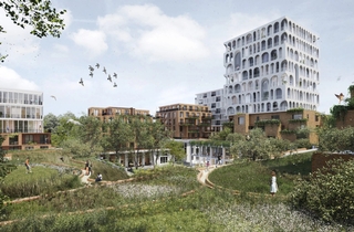 Daklandschap ZOHO, Rotterdam