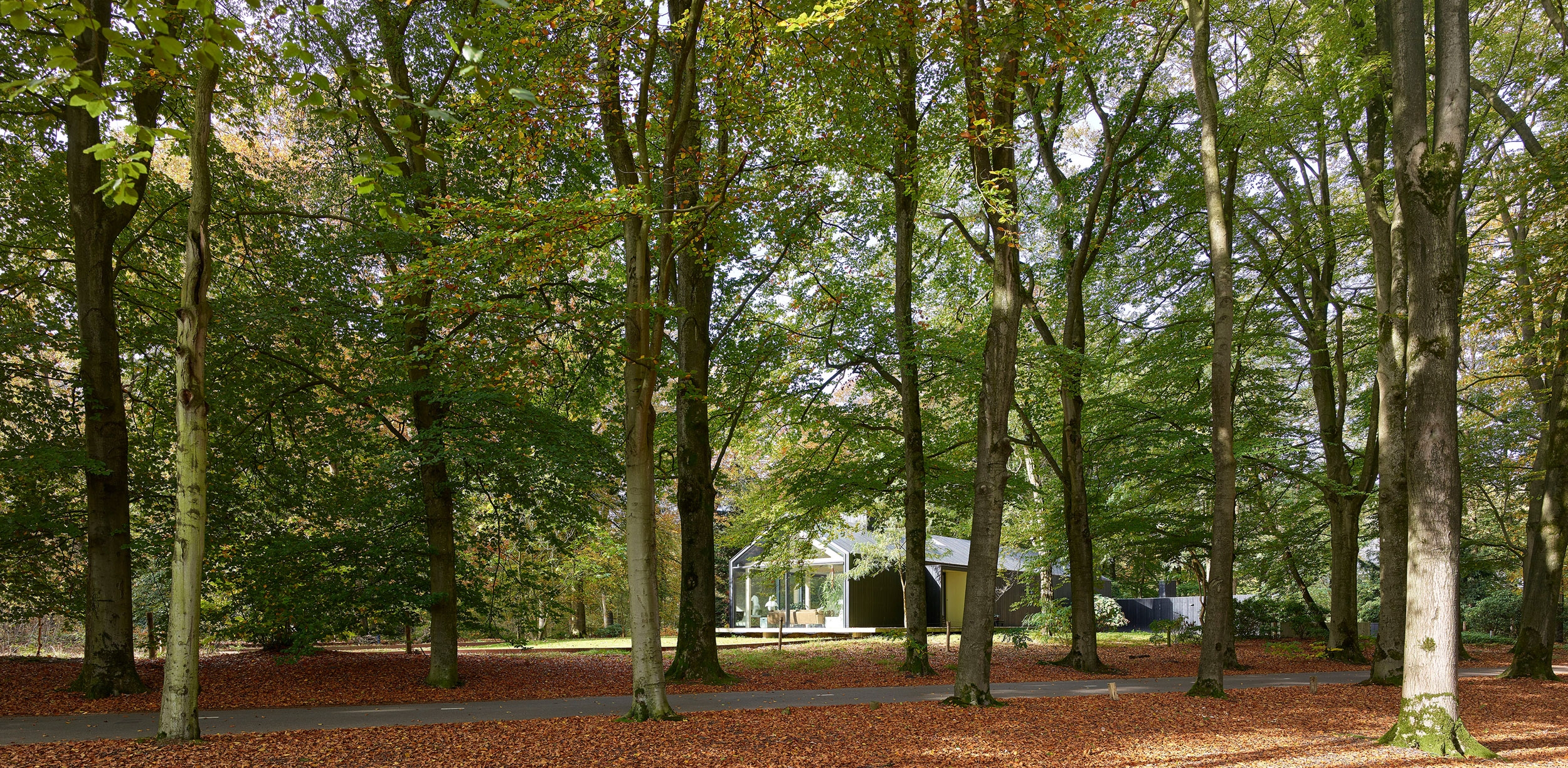 Brouwhuis Oisterwijk 7-2500x1225 Brouwhuis Oisterwijk 7-2500x1225