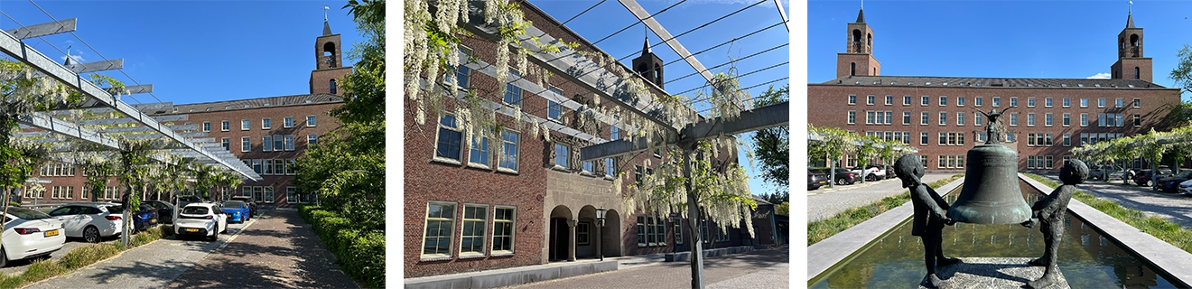 Klokkenberg_Witte Regen in bloei