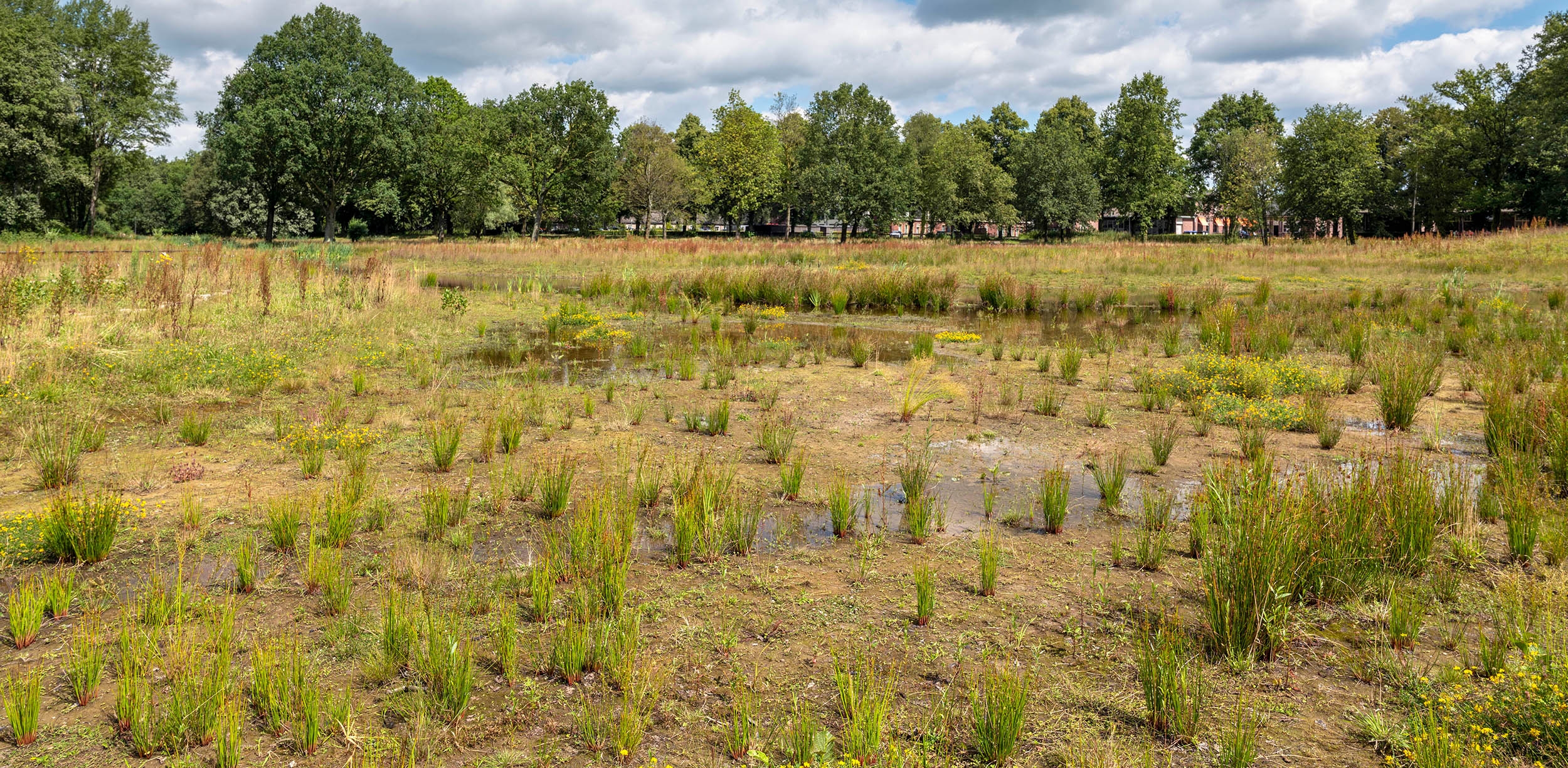 Landpark Assisië Landpark Assisië