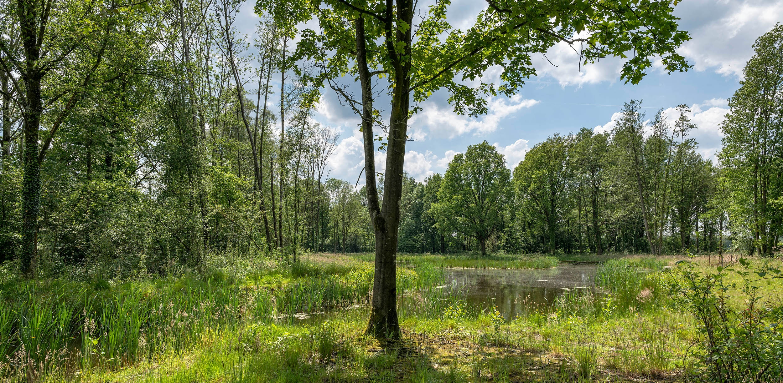 Landpark Assisië Landpark Assisië