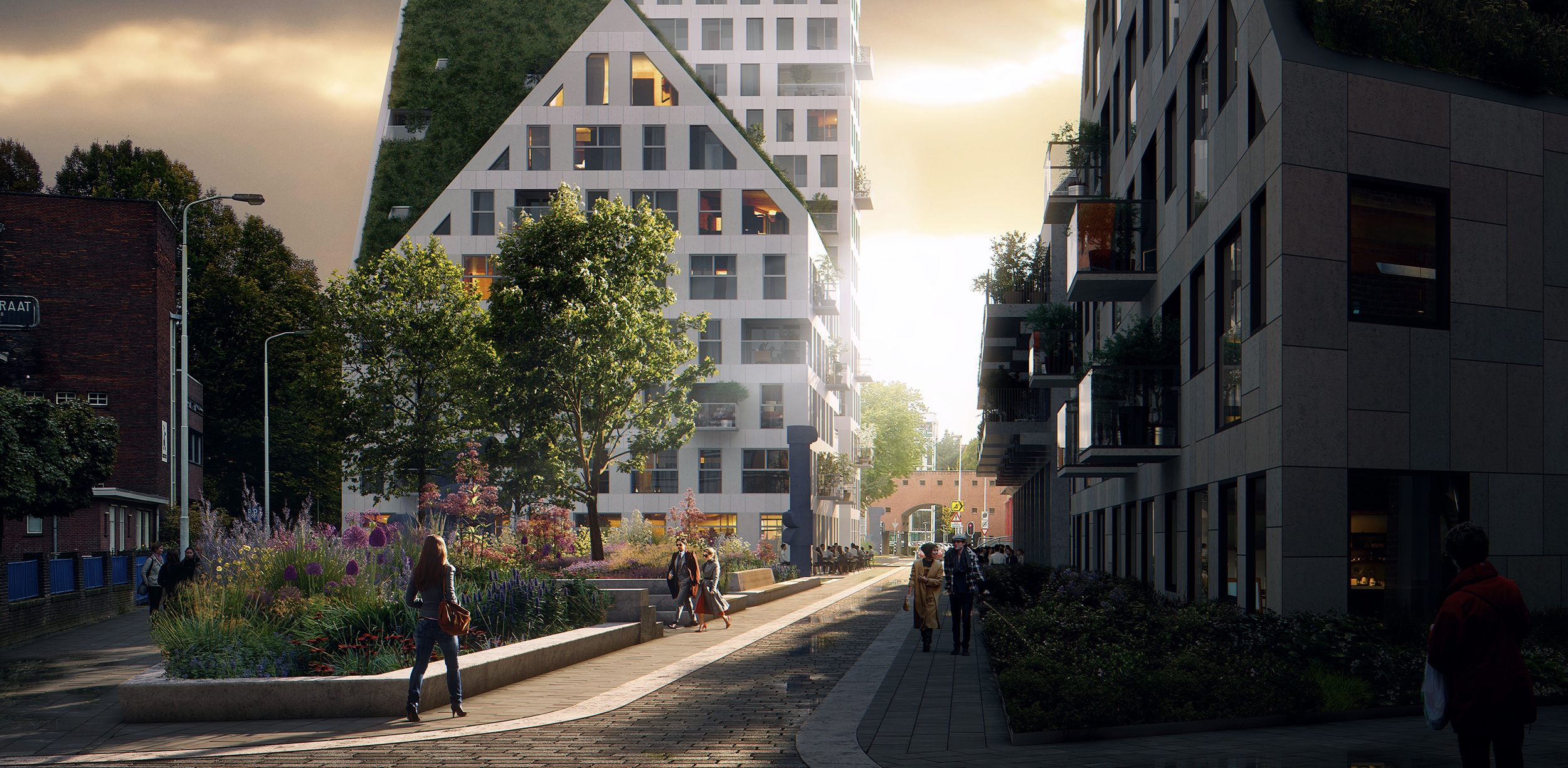 Nieuw Bergen Nieuw Bergen