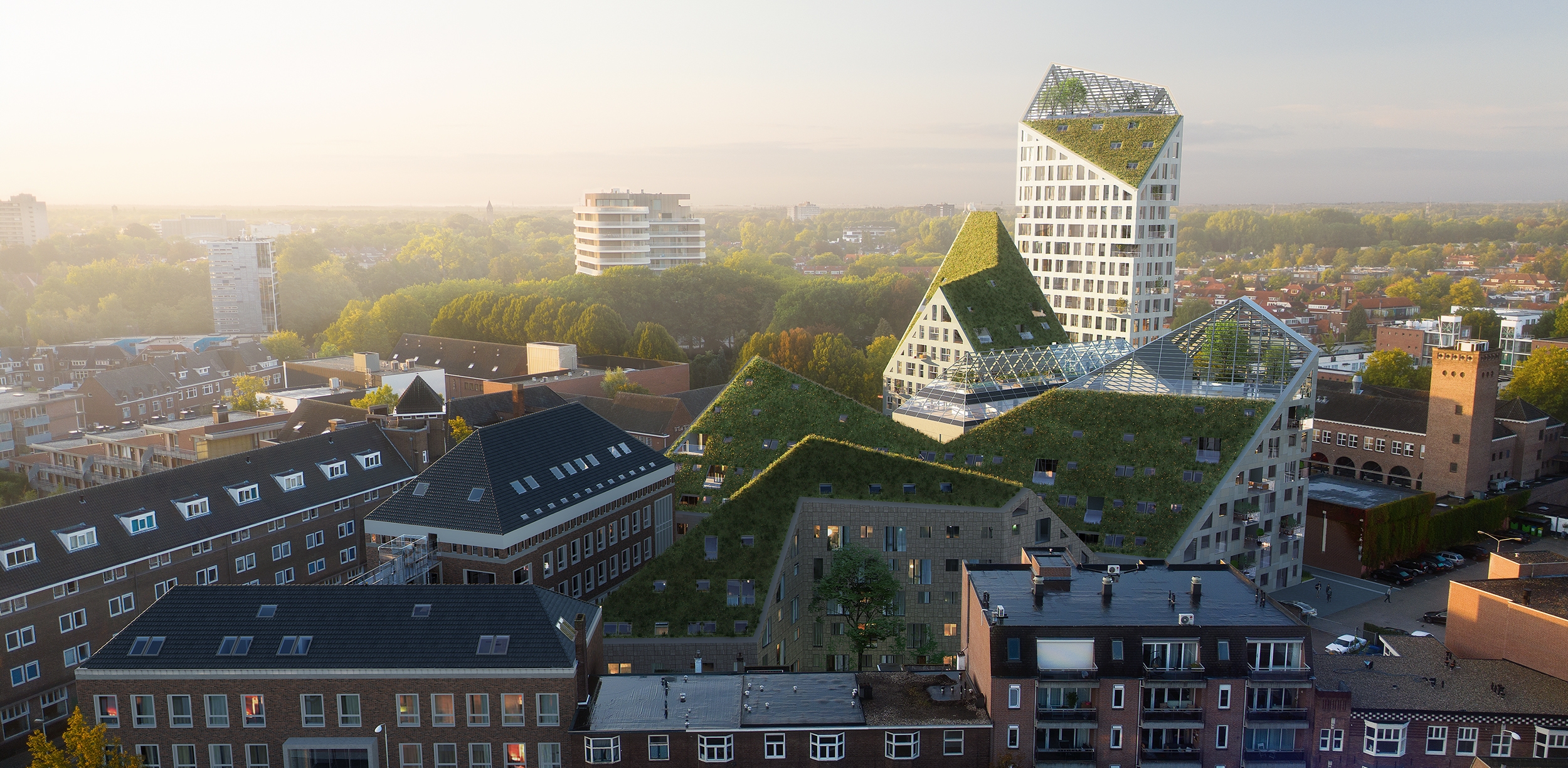 Nieuw Bergen Nieuw Bergen