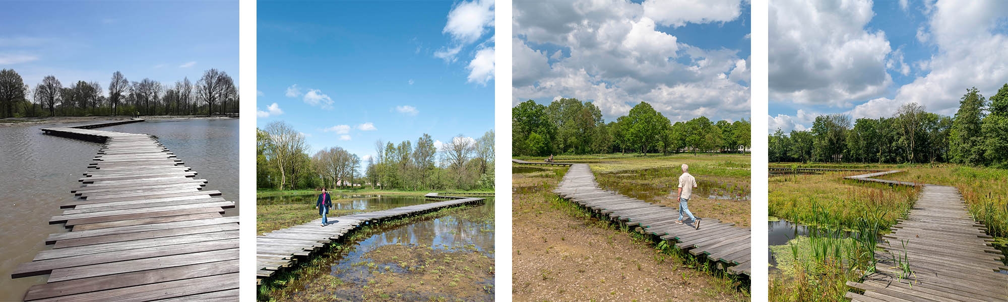 waterrentie Natuurpark Assisie