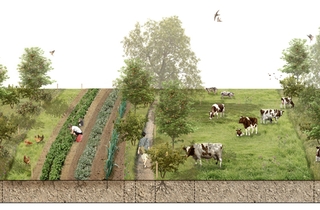 Eerste hectare eetbare houtwallen aangeplant op kavels De Melkbrouwerij