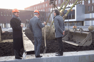 Eerste Hemelboom Jeroen Bosch Ziekenhuis geplant