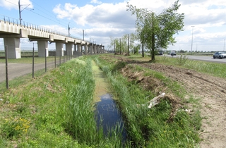 Een toekomstbestendig bos langs de A16