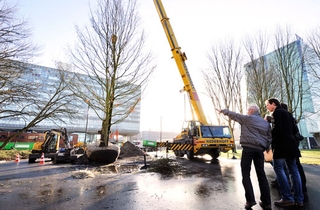 oer-Hollandse eik markeert begin boomaanplant Groene Loper TU/e