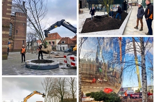 MTD landschapsarchitecten sluit een vruchtbaar plantseizoen af!