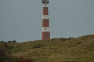 Noordwaarts! - MTD op excursie