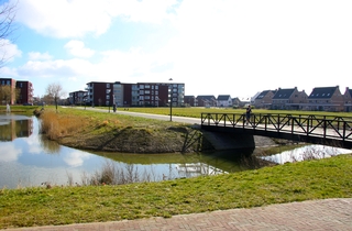 Natuurinclusief ontwerp Parijsch-Zuid in Blauwe Kamer