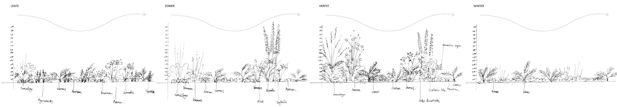 beplanting seizoenen
