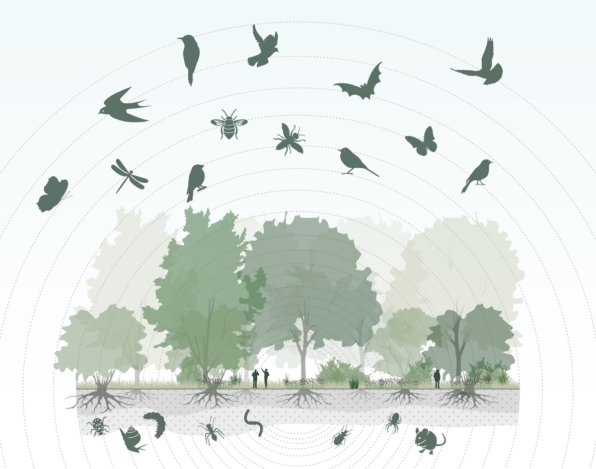 biodiversiteit