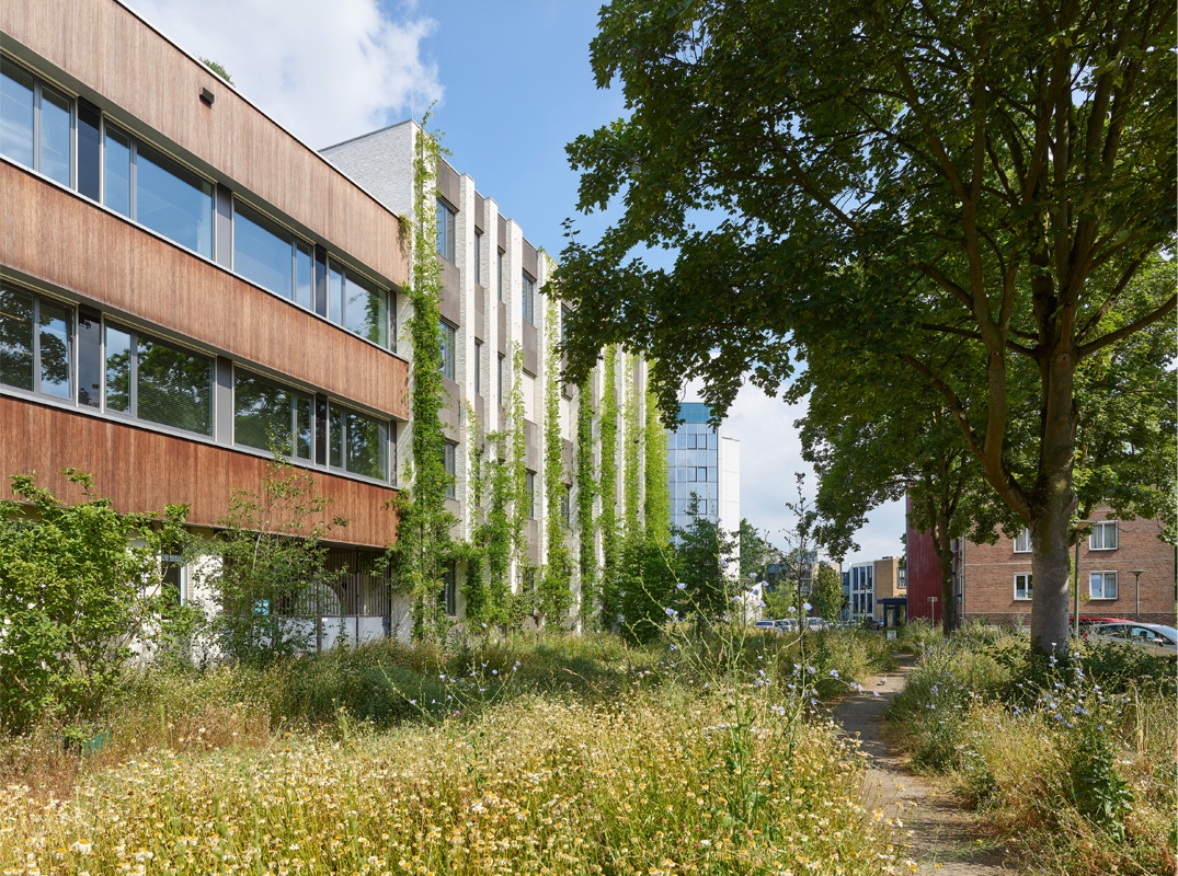 natuurinclusieve stad 3