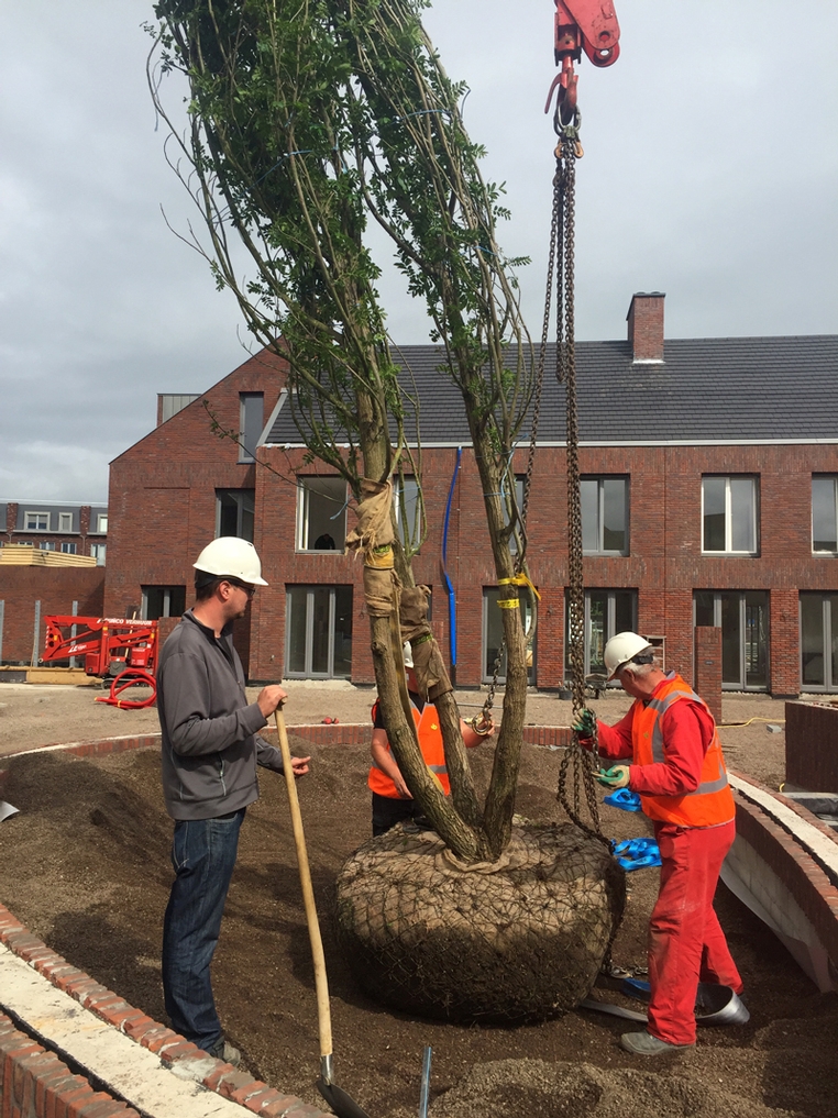 nieuwsbericht lindenkruis 3