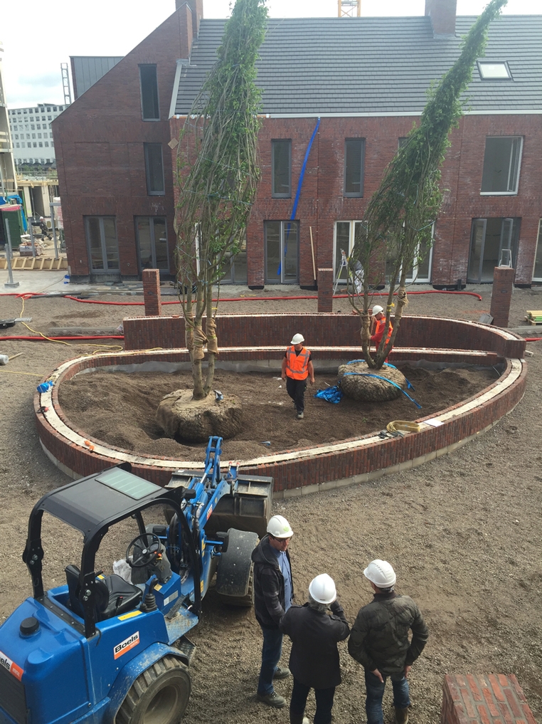 nieuwsbericht lindenkruis 2