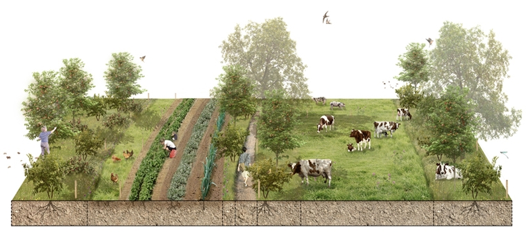 Boomplantdag Melk en Noot 1