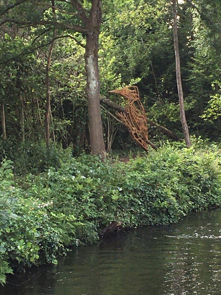 Ijsvogel 4