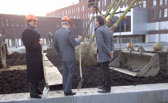Eerste Hemelboom Jeroen Bosch Ziekenhuis geplant