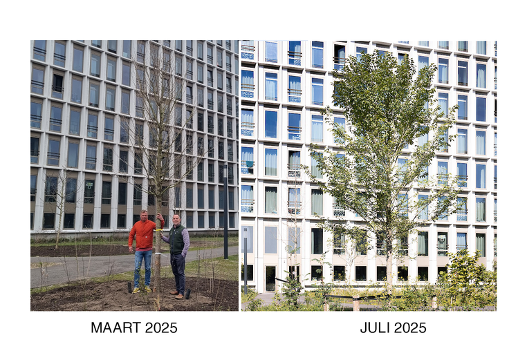 Volkskrant