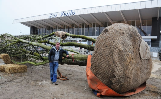 boom geplant op Stationsplein Venlo