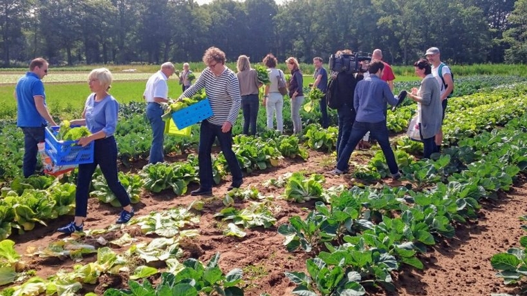 Double prize for MTD at 'Brood & Spelen'