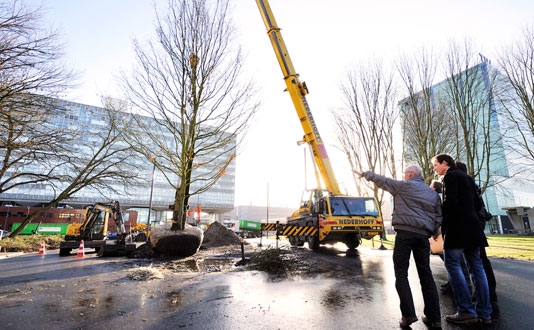 oer-Hollandse eik markeert begin boomaanplant Groene Loper TU/e
