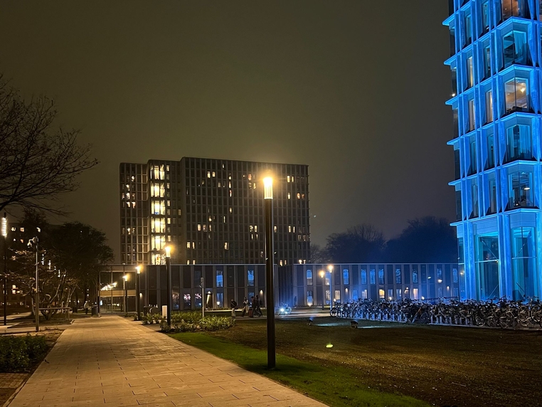 Blauwe Loper TUe