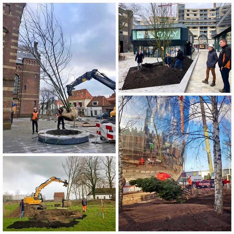 bomen planten 1