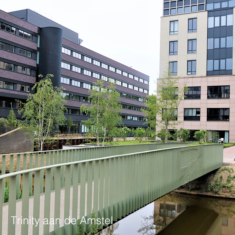bruggen 6