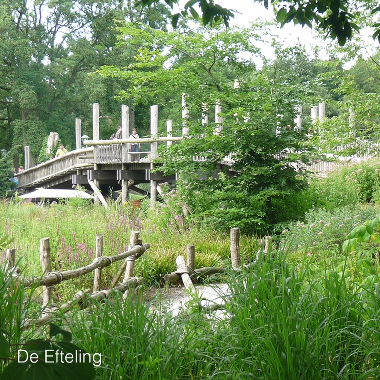 bruggen 8