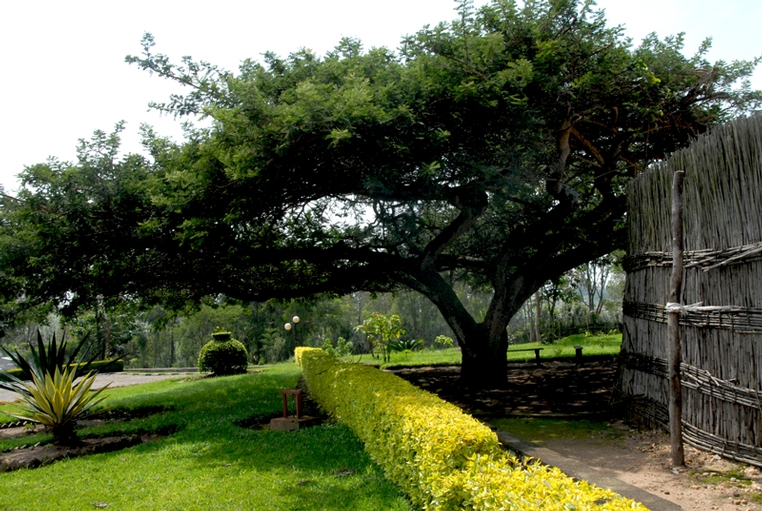 Rwanda 5