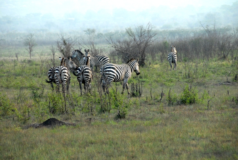 Rwanda 10