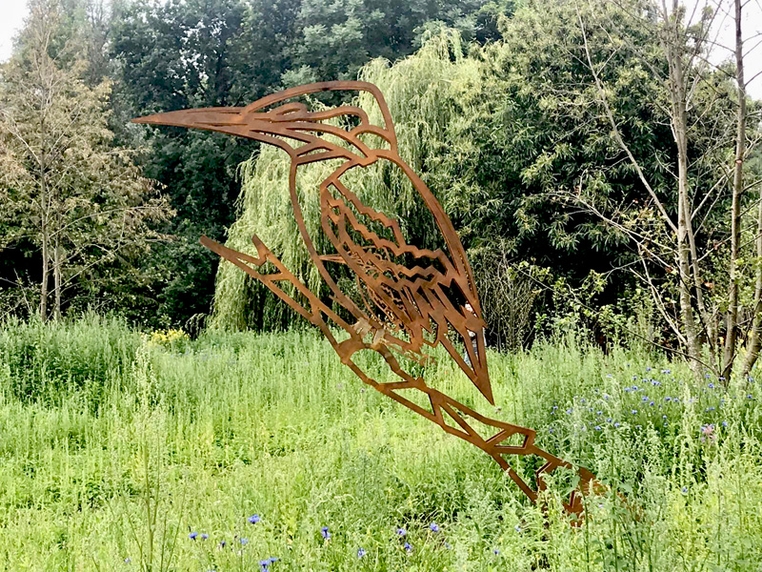 Ijsvogel 3