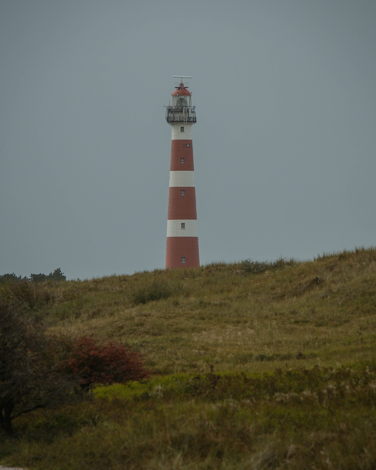 MTD excursie Friesland & Ameland 2026