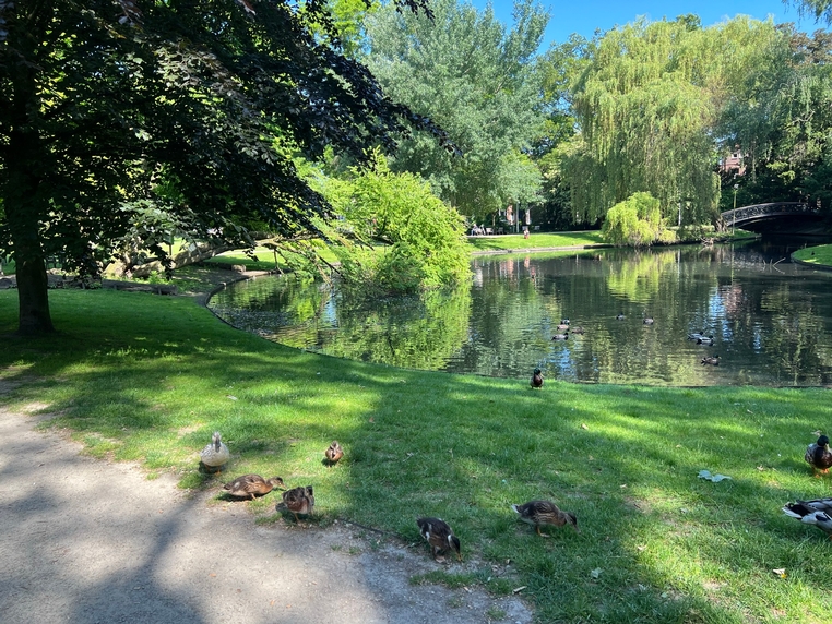 Wilhelminapark 5