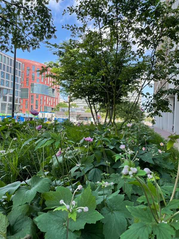 VU Amsterdam campusplein 5