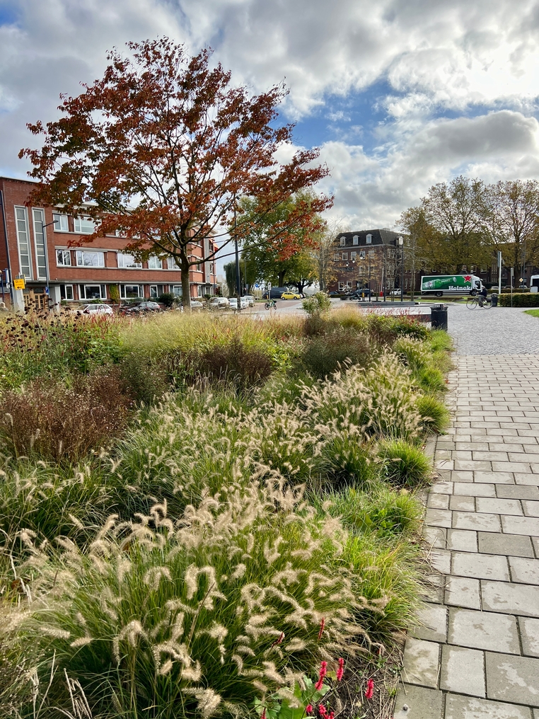 Wilhelminaplein 's-Hertogenbosch