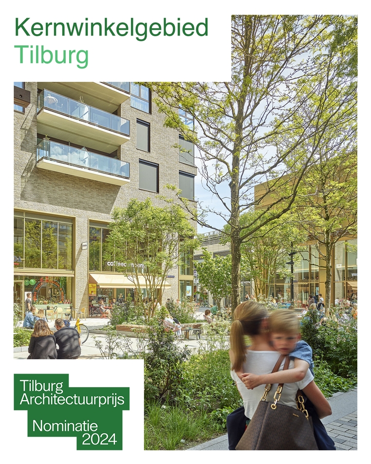 Tilburg Architectuurprijs, Kernwinkelgebied