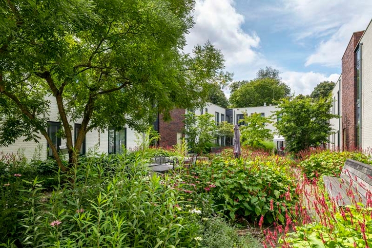 Binnentuin Assisie