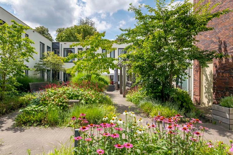 Binnentuin Assisie