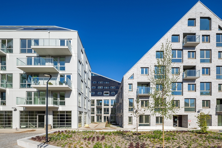 Nieuw Bergen