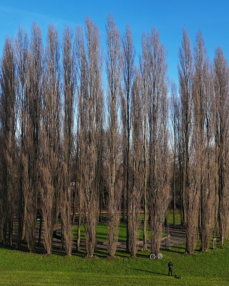 Zuiderpark