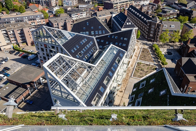 Nieuw Bergen