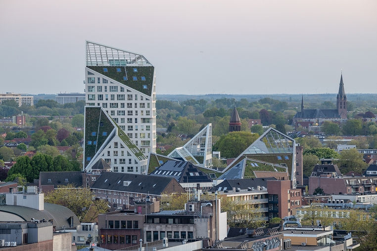 Nieuw Bergen