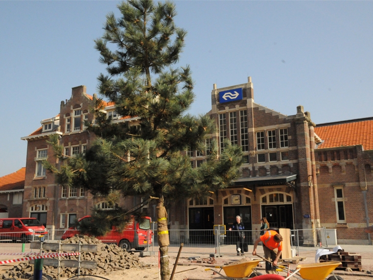 Stationsplein Zandvoort given green stature