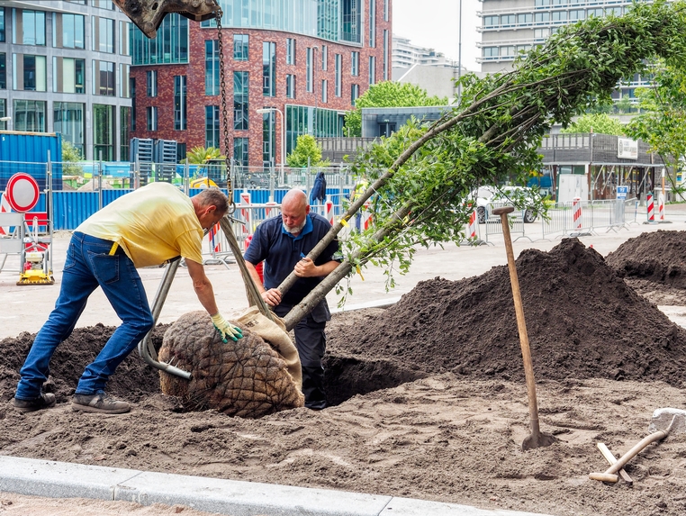 Vergroening Campus Vrije Universiteit Amsterdam in volle gang